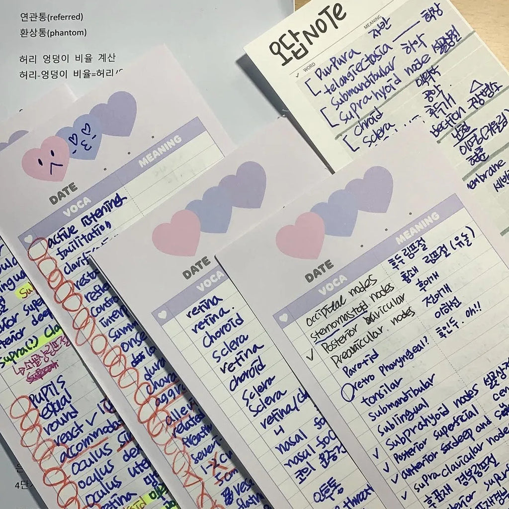 B5 half-size language learning notepad with English words, available in pink, purple and blue cover colours