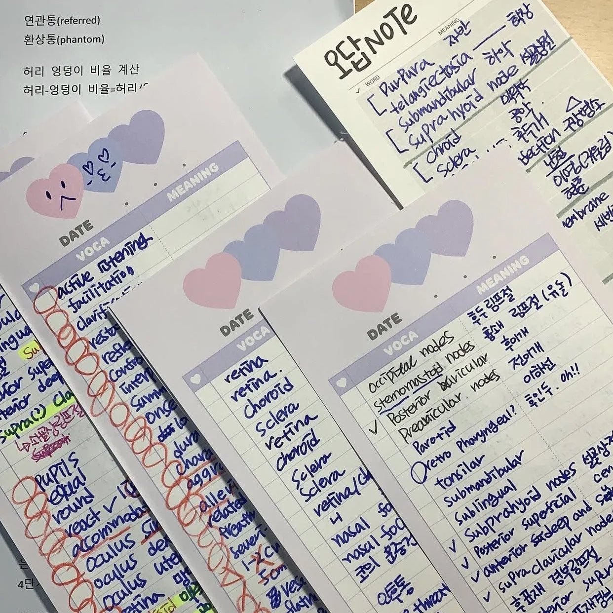 B5 half-size language learning notepad with English words, available in pink, purple and blue cover colours