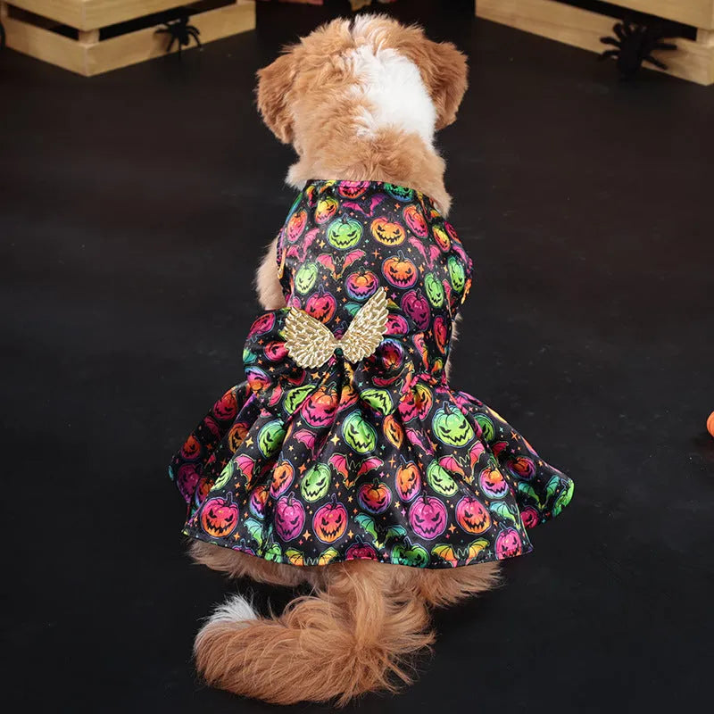 Dog wearing orange angel wings Halloween costume with bright pumpkin colour.