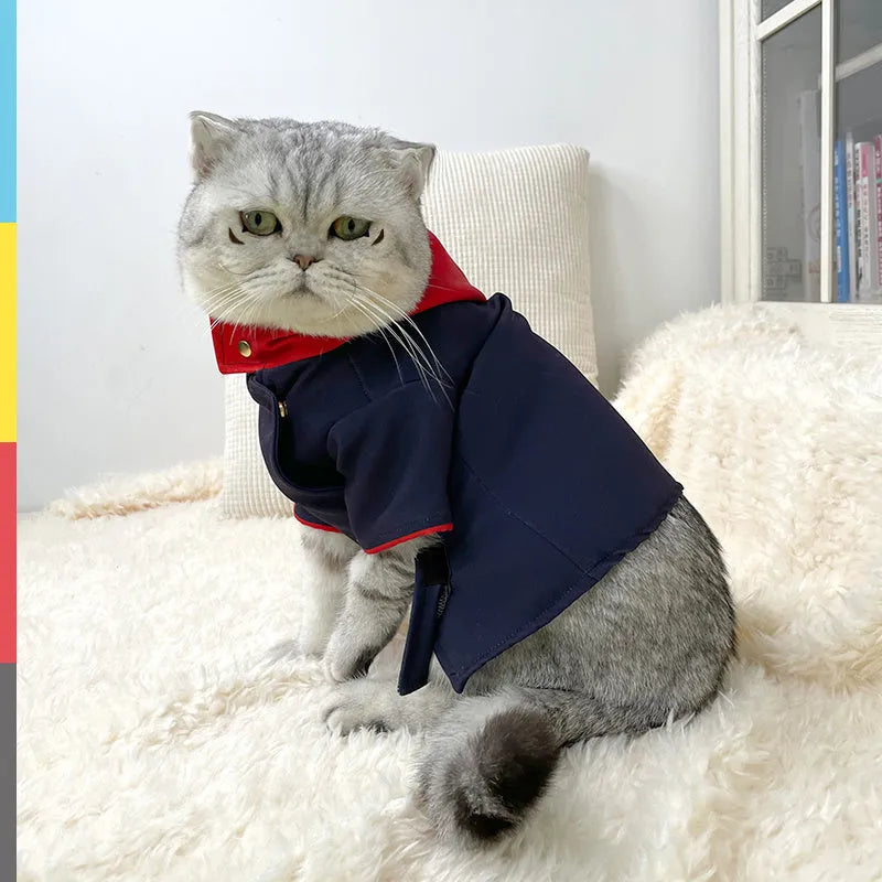 Tiger staff yuren coloured pet hoodie photo prop for cats and dogs on a mannequin