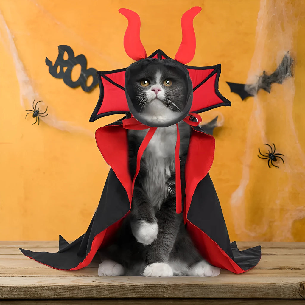 Black polyester vampire cloak and hat costume set for pets on Halloween