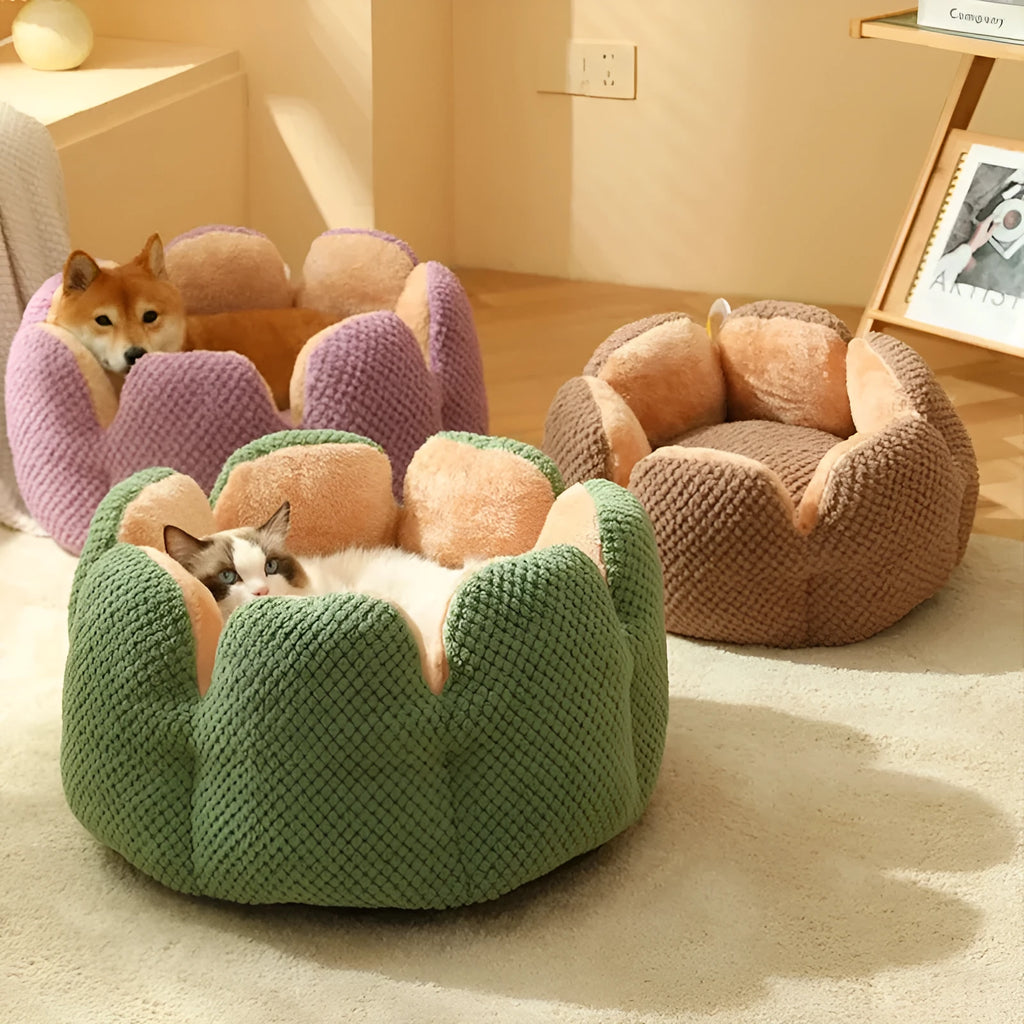 Green cactus-shaped enclosed pet kennel with soft plush interior, shown on a hardwood floor.