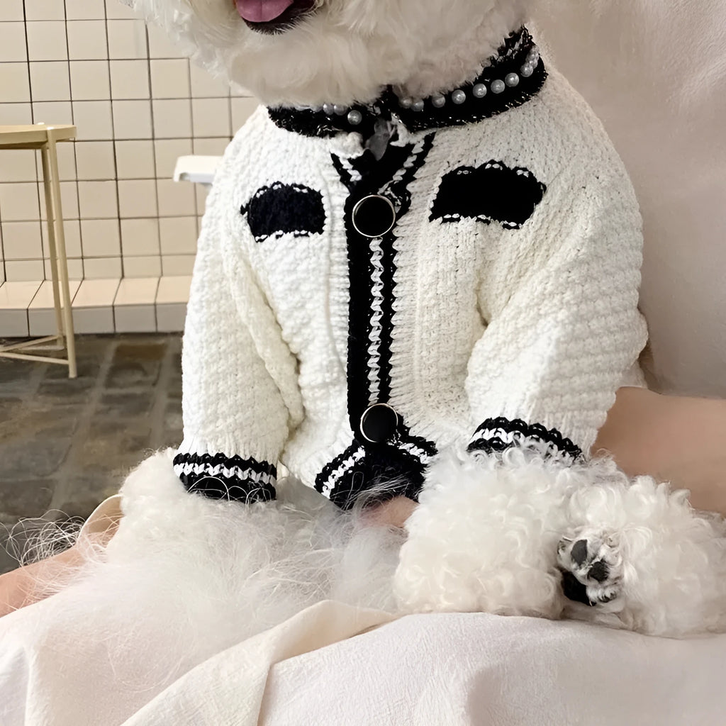 Korean style white pearl collar dog sweater on a small dog, showing the princess style design.