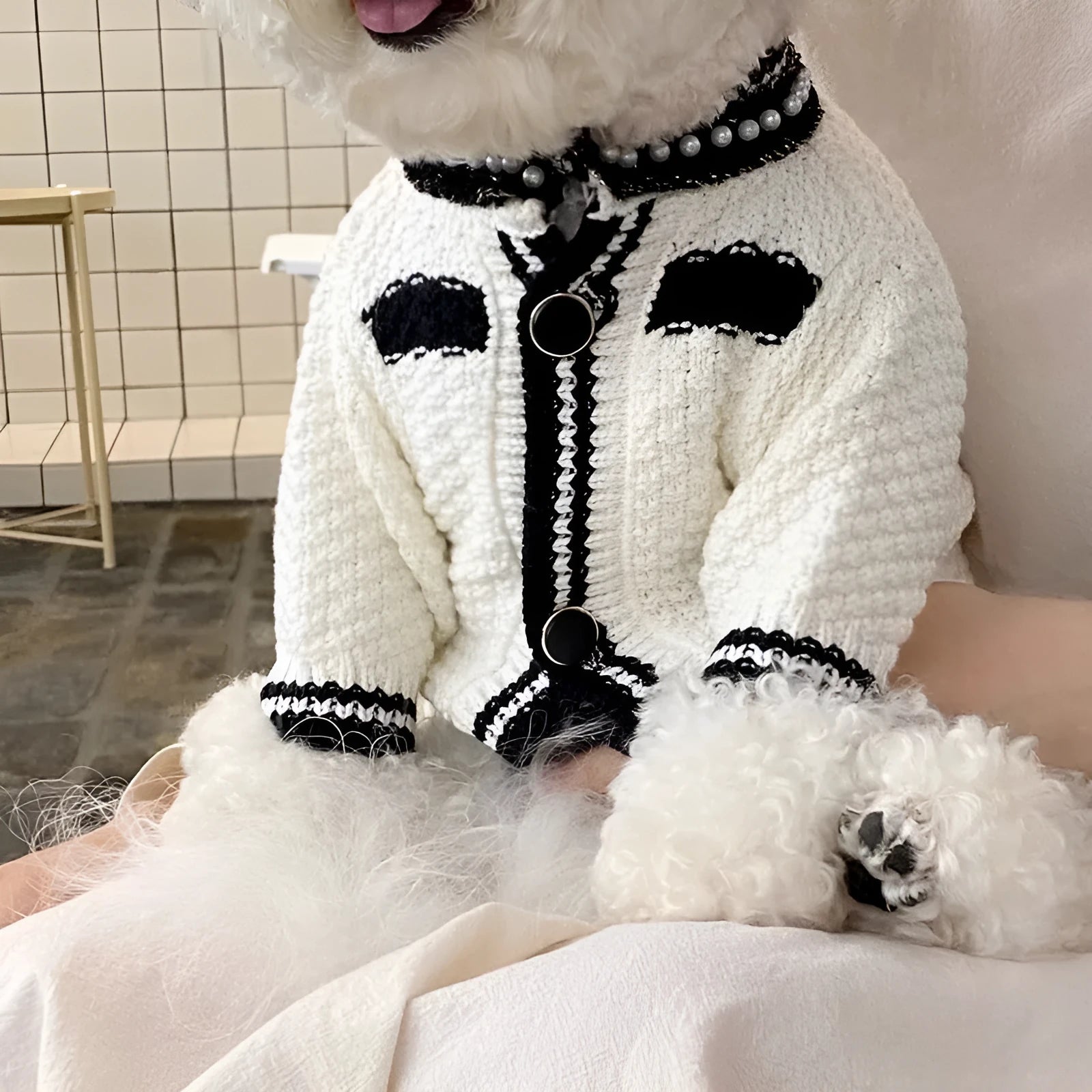 Korean style white pearl collar dog sweater on a small dog, showing the princess style design.
