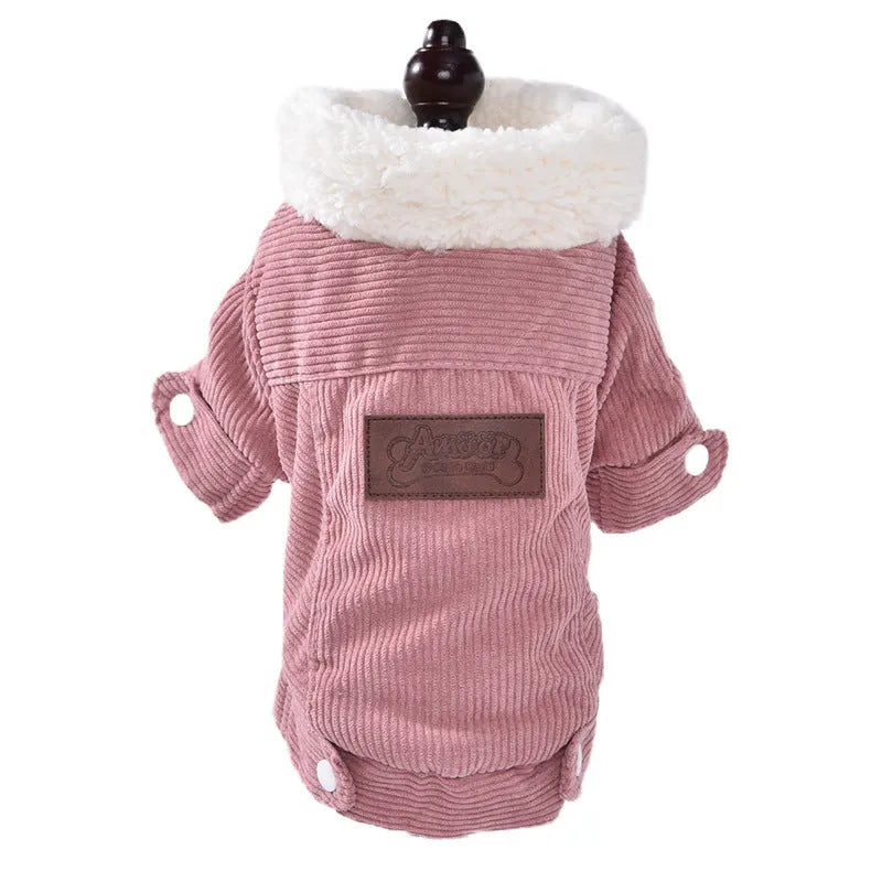 Lambswool grey dog vest with wool lining shown on pet model in size M