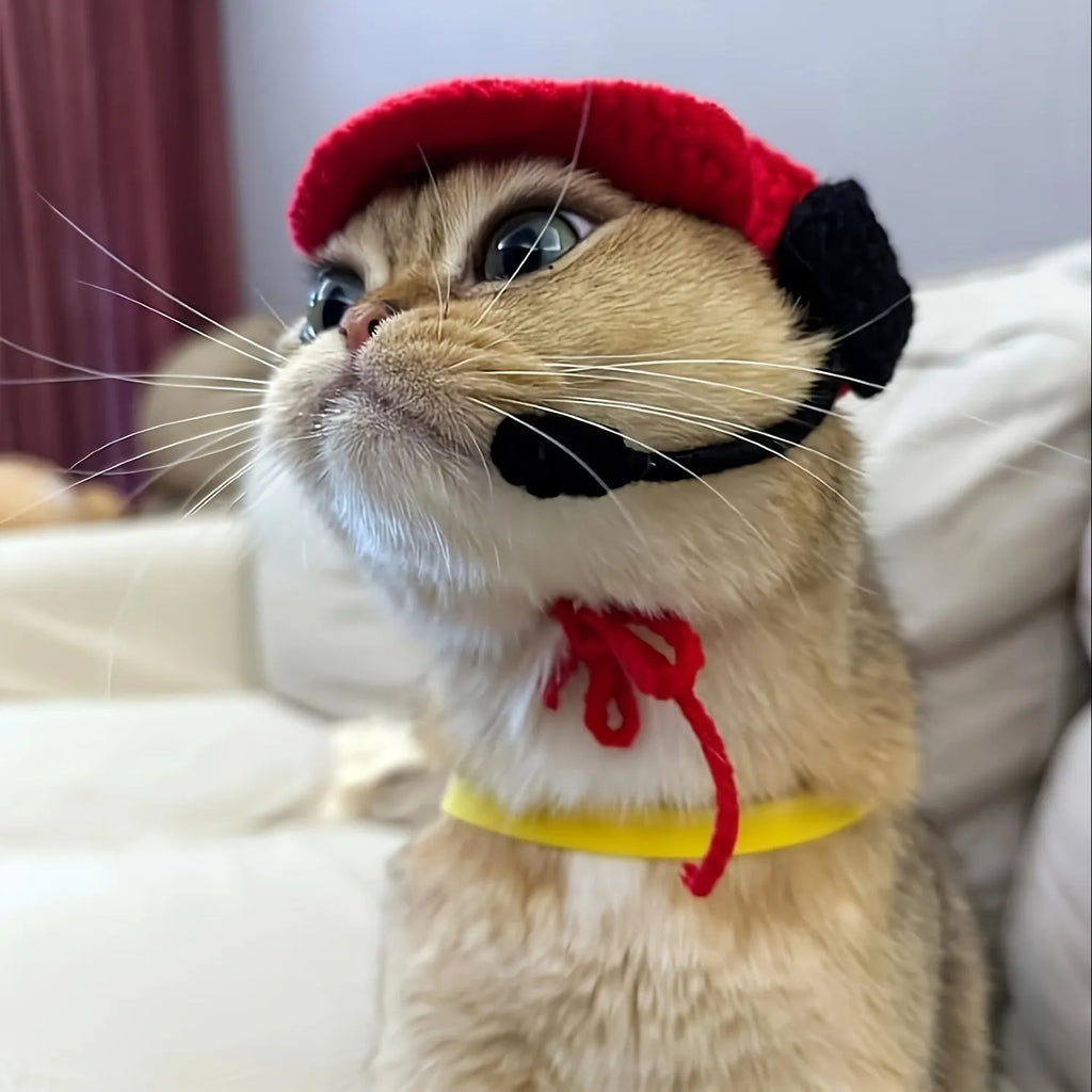 Handmade soft cotton knitted sweater and matching chef hat for a small cat or dog.