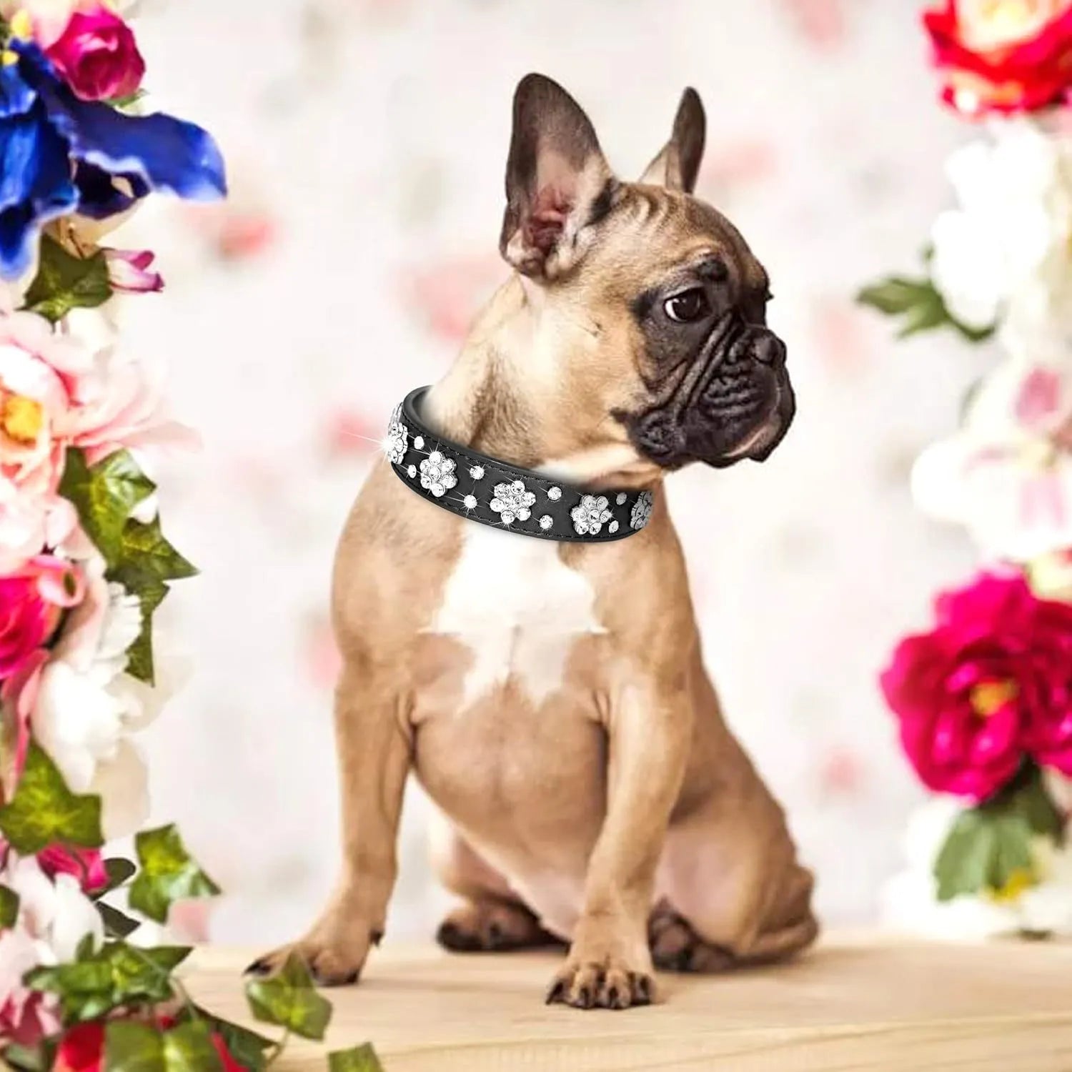 A pink PU leather dog collar studded with silver rhinestone flowers and a metal D-ring.