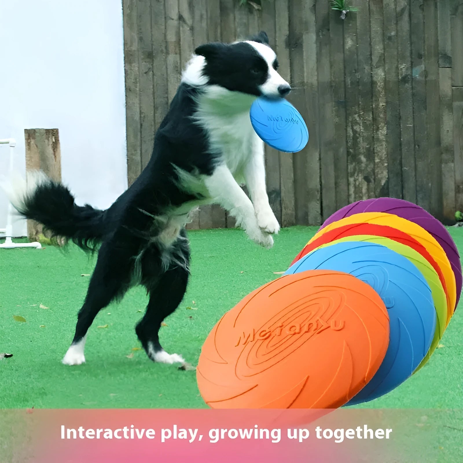 Soft rubber dog frisbee toy in blue colour showing curved disc shape for throwing