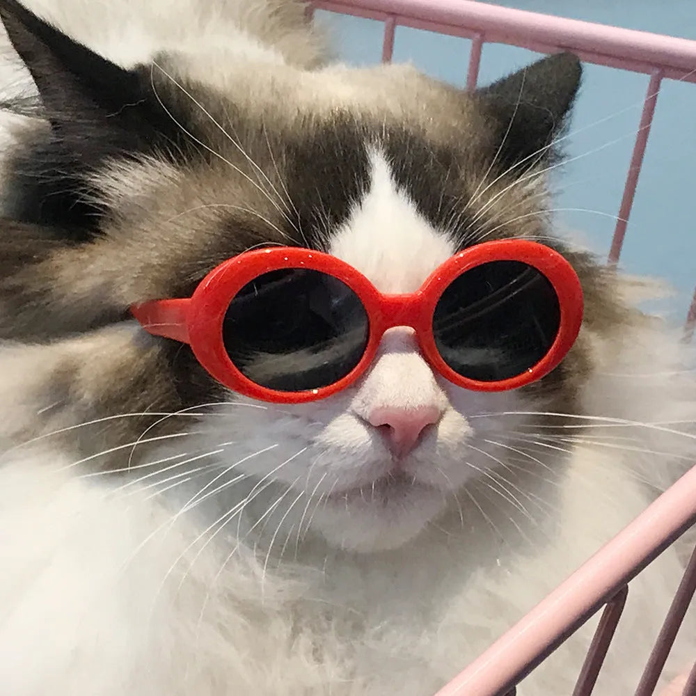 Pet dog cat multi-color sunglasses with UV380 protection PC lens resin frame round style