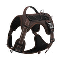 Orange reflective dog vest harness with explosion-proof leash attached, shown on a medium-sized dog.