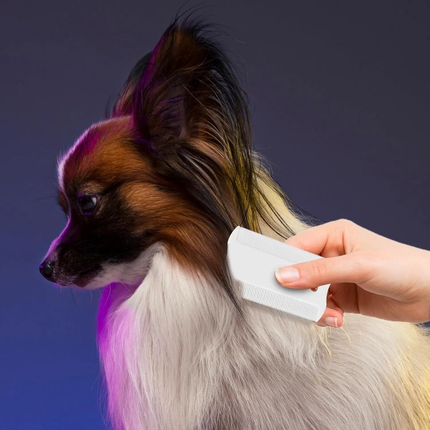 Small white plastic flea comb for pets with double-sided dense teeth, shown next to a ruler for scale.