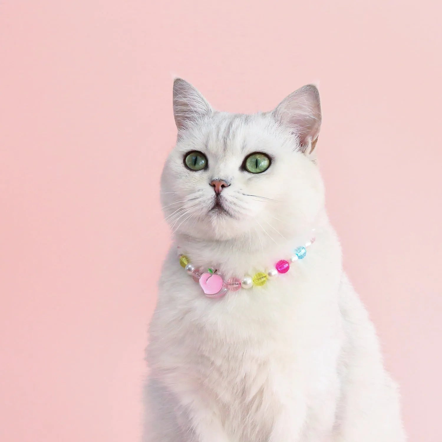 Colourful plastic bead pet necklace for cats with floral and rainbow designs in adjustable XS and S sizing